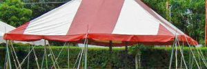Kansas City tent rental for family reunion