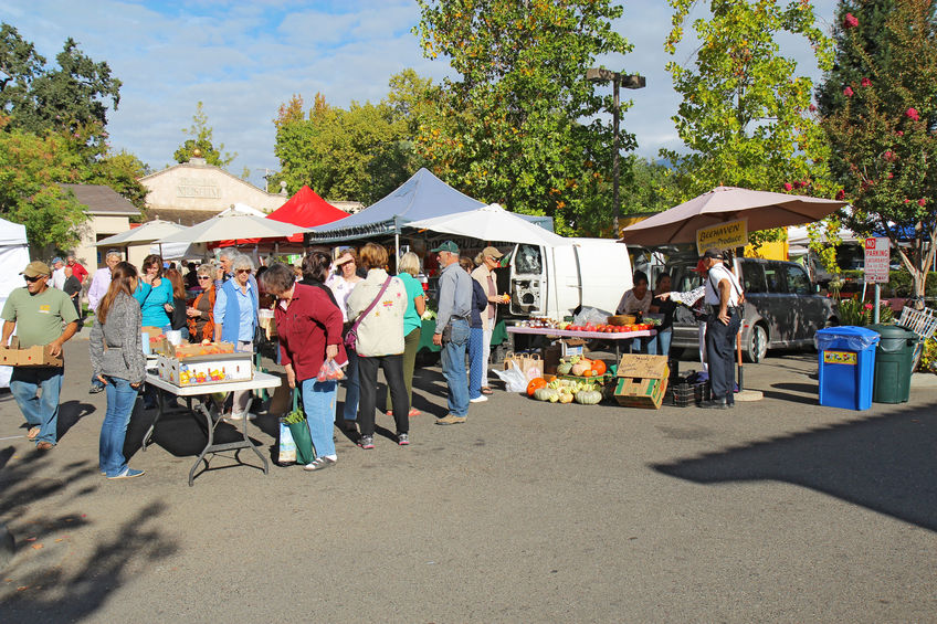 Canopy Tent at Market