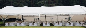 tables with different delicious food staying in garden